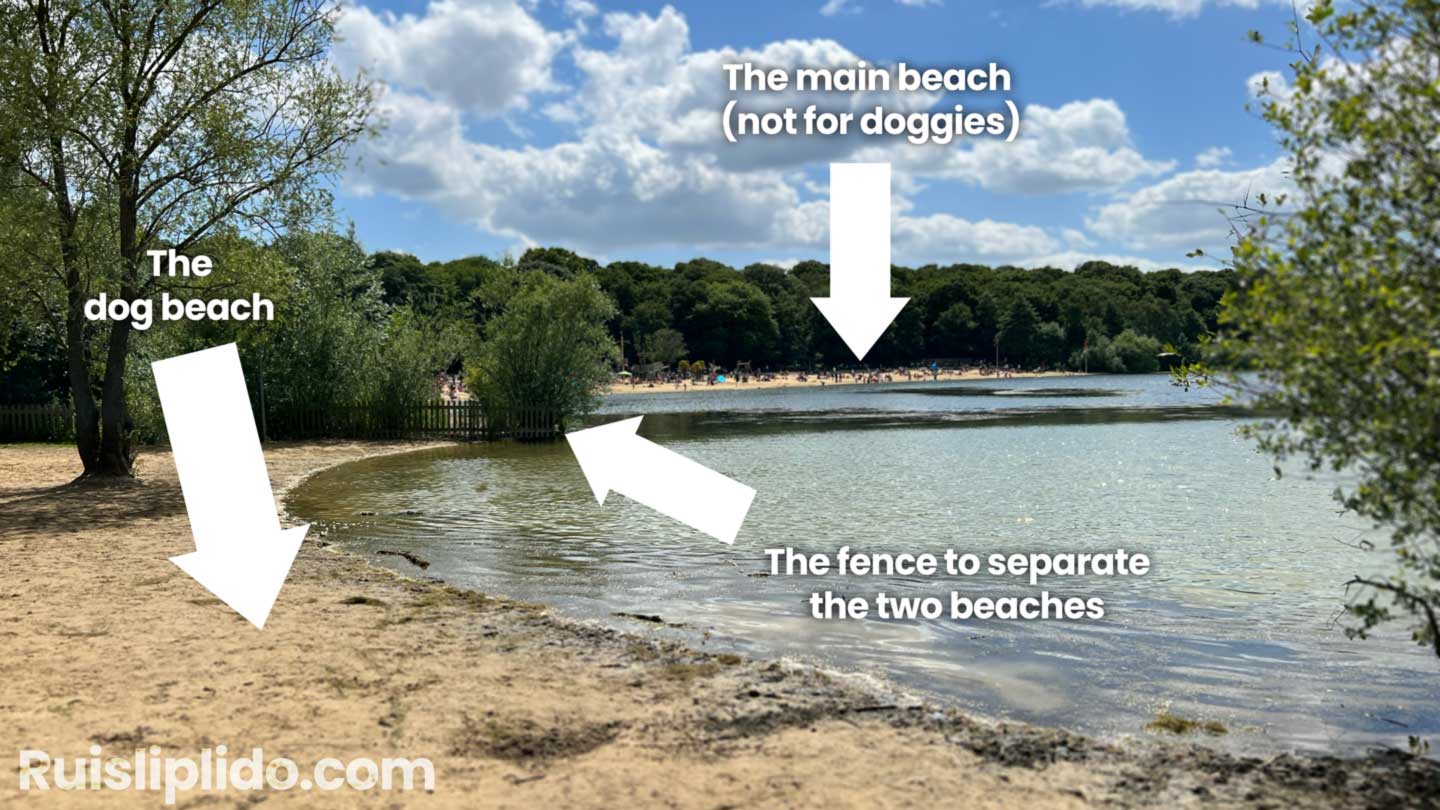 Ruislip lido dog beach - Arrows and notes to each section: main beach, dog beach, fence dividing the two beaches