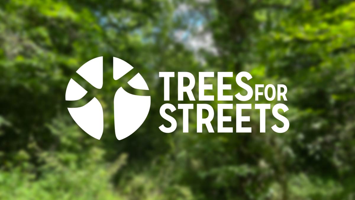 Trees for Streets logo over blurred tree