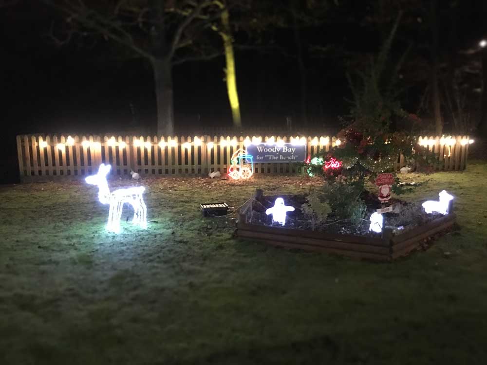 Ruislip Lido Christmas Train Illuminations